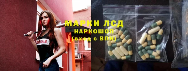 ГАЛЛЮЦИНОГЕННЫЕ ГРИБЫ Алзамай