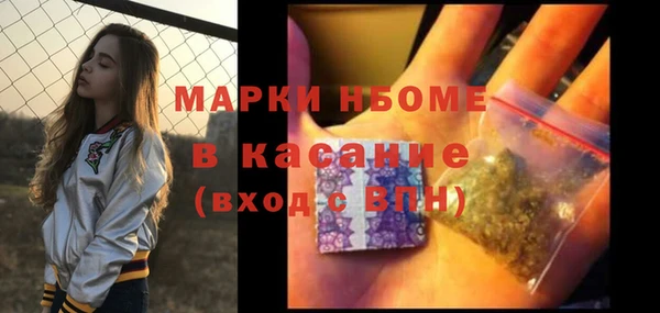 ГАЛЛЮЦИНОГЕННЫЕ ГРИБЫ Алзамай