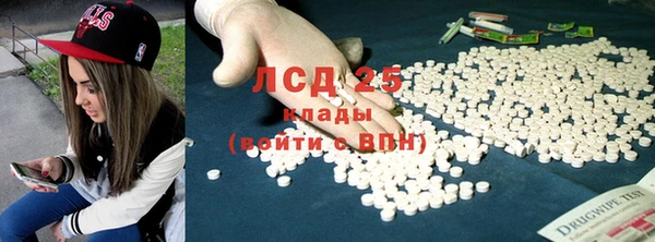 ГАЛЛЮЦИНОГЕННЫЕ ГРИБЫ Алзамай