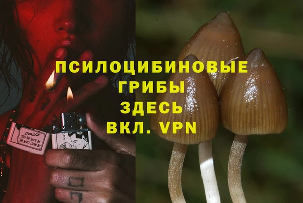 ГАЛЛЮЦИНОГЕННЫЕ ГРИБЫ Алзамай