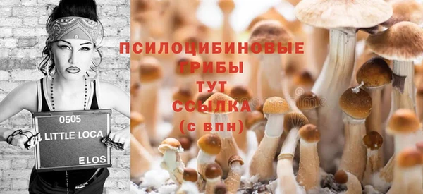 ПСИЛОЦИБИНОВЫЕ ГРИБЫ Алексеевка