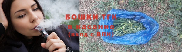 ГАЛЛЮЦИНОГЕННЫЕ ГРИБЫ Алзамай