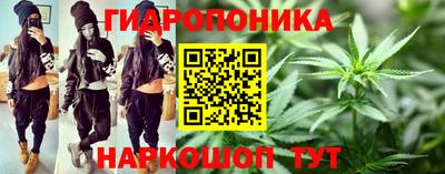 скорость Дубна