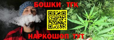 скорость Дубна