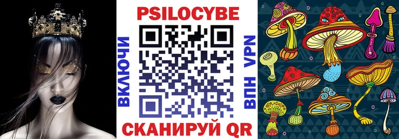 площадка клад  Нижний Новгород  Псилоцибиновые грибы Psilocybine cubensis  как найти  