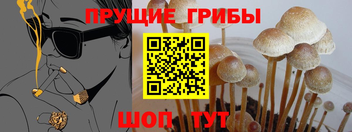 Нижний Новгород  Галлюциногенные грибы мухоморы  Вход с VPN 