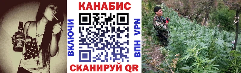 Каннабис OG Kush Нижний Новгород
